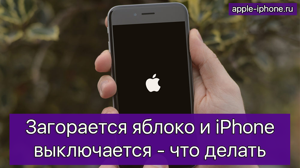 загорается яблоко и гаснет iphone