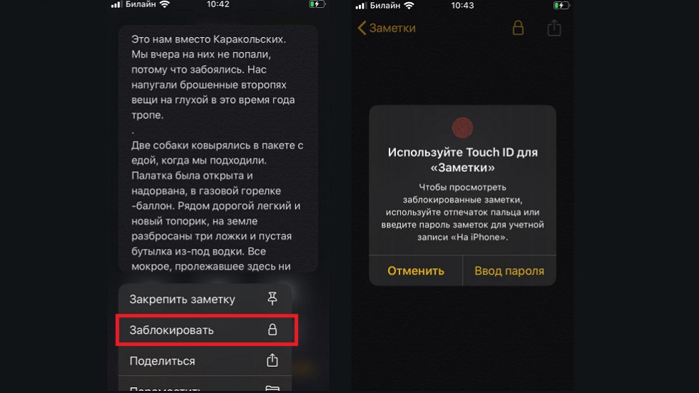 Пароль для заметок на iPhone